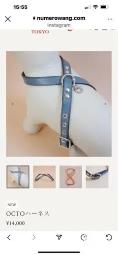 あおと プロフィール必読様 リクエスト 2点 まとめ商品