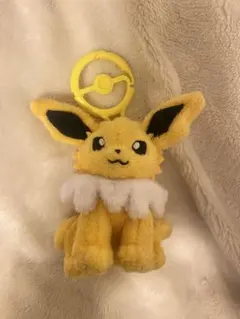 カナルビ付き サンダース