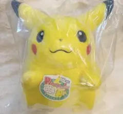 ポケモン30周年記念おかえり!ピカチュウ1/1