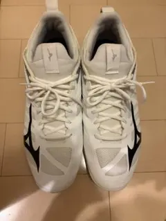 Mizuno ネオゼン26.5センチ - メルカリ