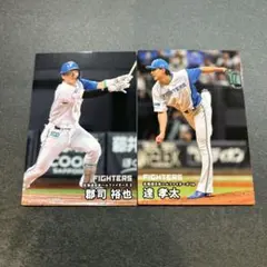 北海道日本ハムファイターズ トレーディングカードセット
