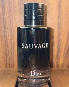 Dior SAUVAGE EDT 100ml