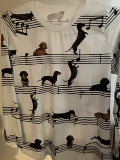 ダックスフンド