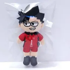 【ハイキュー】 黒尾鉄朗 ハイキュープラザ限定 ジロリ ぬいぐるみ マスコット