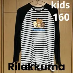 Rilakkuma 長袖カットソー ボーダー ラグラン　キッズ 160㎝