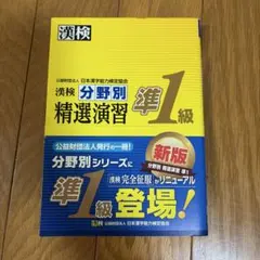 漢検分野別精選演習準1級