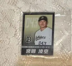 オリックス・バファローズ 西川龍馬 アクリルスタンド - メルカリ