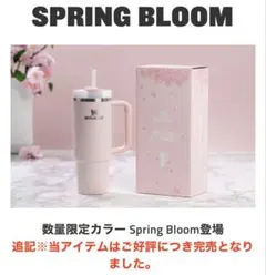 STANLEY スタンレー H2.0真空スリムクエンチャー0.88L 限定カラー