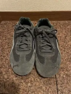 Item thumbnail for item 43d1a4c6-e809-4aa7-a566-3b4eb93f0f3a