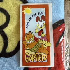 Garfield タオル Fun in the Sun