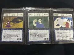 一番くじ HUNTER×HUNTER ハンターハンター K賞 指定ポケットカード
