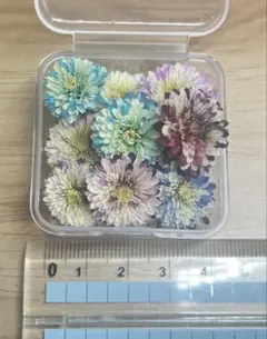 ドライフラワー ハンドメイド 花材 花材詰め合わせ マトリカリア