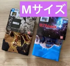 Item thumbnail for item 4bcd15cf-4836-4758-93e3-0eaf626dcf46