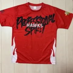 SoftBank Hawks ユニフォーム Lサイズ MOINELO 35