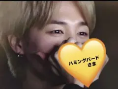 【BTS】シートマグネット♡JIMIN専用