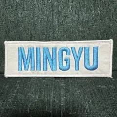 SEVENTEEN MINGYU ワッペンバッジ　バングル セット SEVENTEEN MINGYU ワッペンバッジ バングル セット - メルカリ