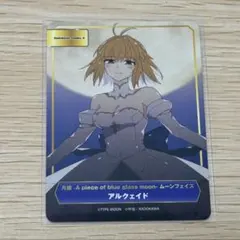2026年最新】月姫 アルクェイドの人気アイテム - メルカリ