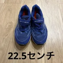 瞬足 幅広スニーカー 22.5cm 青色