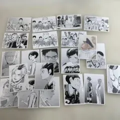 ハイキュー!! 10thクロニクル 思い出スナップフォトカード 21枚