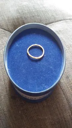 Item thumbnail for item 619f3420-5ae6-4add-bc47-c68293874abd