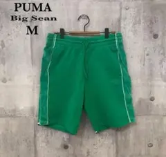 プーマ×ビッグショーンPUMA×Big SeanスウェットショートパンツUS M
