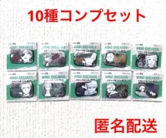 WIND BREAKER メタリック缶バッジ コンプリートセット 10種