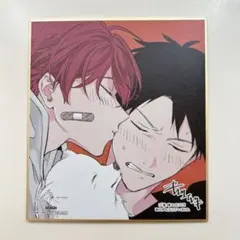 ギヴン展 入場特典 色紙 真冬＆立夏 りつまふ