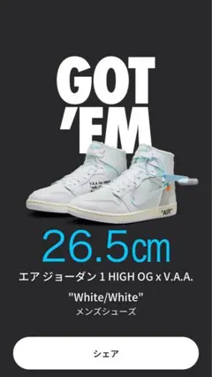 Air Jordan 1 High OG x VAA Alaska 26.5