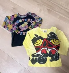 ヒスミニロンＴ 2点セット