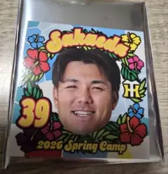 阪神タイガース 石井大智選手 沖縄キャンプ限定ステッカー - メルカリ