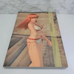 【初版】デッドオアアライブエクストリーム2オフィシャルガイド