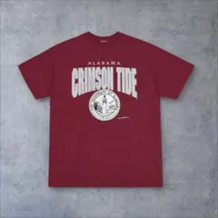 90s Hanes HEAVYWEIGHT Tシャツ USA製カレッジロゴXXL