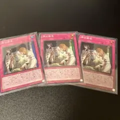 遊戯王 神の密告 3枚セット(シク1 スーパー2) - メルカリ