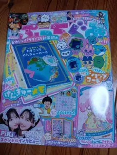 新品未使用（付録なし）