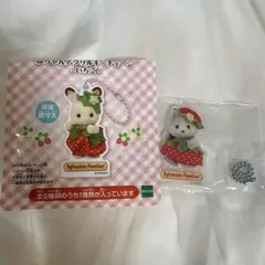 シルバニアファミリー 赤ちゃんアクリルキーチェーン いちご ハスキーの赤ちゃん