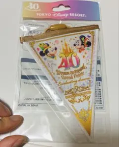 【レア！】ディズニーリゾート40周年 ガーランド グランドフィナーレのサムネイル