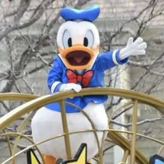 ディズニー・パルパルーザ ドナルドのクワッキー・ダックシティ ドナルド Sサイズ