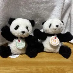 上野動物園 パンダ ぬいぐるみ 暁暁 蕾蕾 2体セット　タグ付きのサムネイル