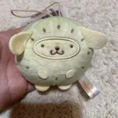 サンリオキャラクターズ フルーツ着ぐるみマスコット キウイ ポムポムプリン