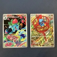 フシギソウ　リオル　ar