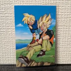 ドラゴンボール40周年】DBZ ラミネートカード 30年前 animate購入