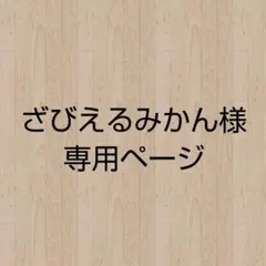 ざびえるみかん様 リクエスト 2点 まとめ商品