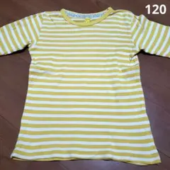 Sunny landscape ボーダー 長袖 カットソー 120
