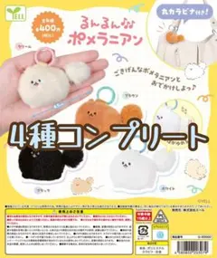 【新品4種コンプ！】るんるん ポメラニアン