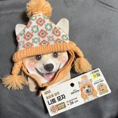 Item thumbnail for item bfc3e4bd-bbbe-4e18-8be0-6c126d427f1f