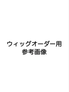 uta☁️即購入大歓迎！様 ウィッグオーダーご確認専用ページ - メルカリ