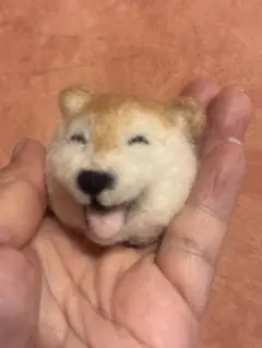 羊毛フェルト 柴犬の顔 スイカ帽子