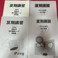 2026年最新】浜学園 夏期講習 小6の人気アイテム - メルカリ