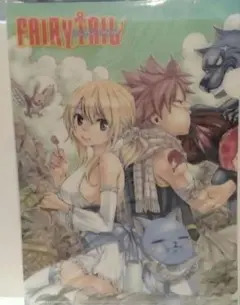 2026年最新】ﾙｰｼｨ フェアリーテイルの人気アイテム - メルカリ