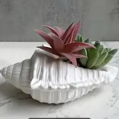 Item thumbnail for item 2d4fc5ff-775d-4b3a-b1f3-c6c9d4585146